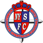 Nyíregyháza zászlója